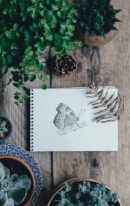 product picture of butterfly